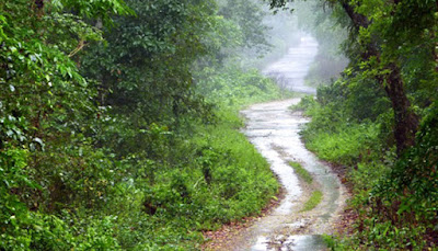 ইটের গাঁথুনিতে গেঁথে গেছে | কবিতা