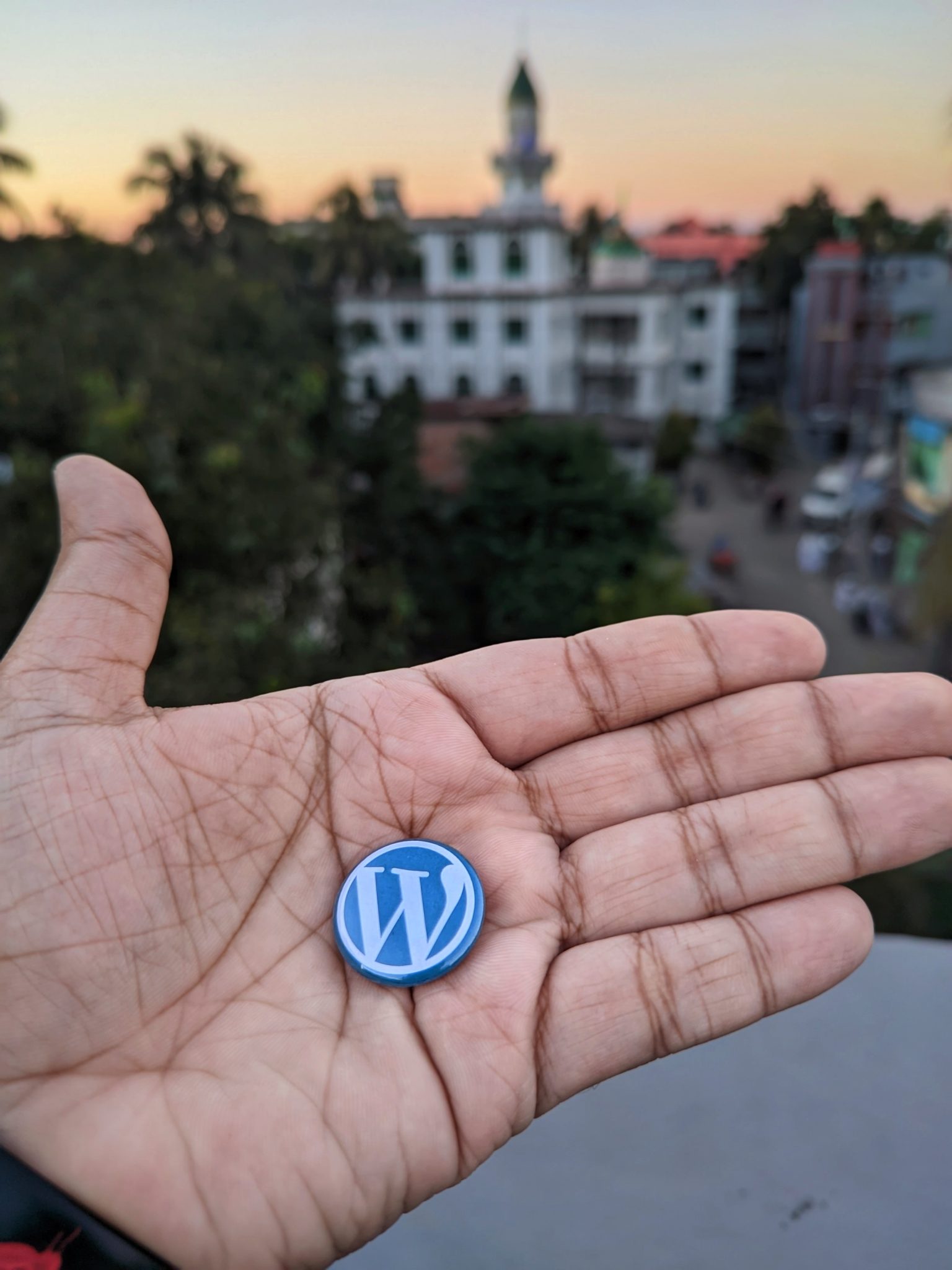 Representing the power of WordPress with this badge! From personal blogs to enterprise websites, WordPress powers over 40% of the internet. Honored to be a part of the community and excited to contribute to its growth and success!